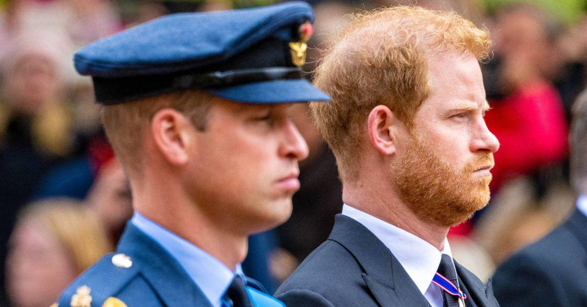 prince william and prince harry looking angry at one another