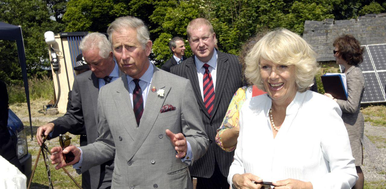 queen camilla only person fix king charles prince harry feud