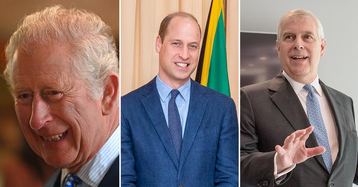 prince charles prince william opposed prince andrew events pp