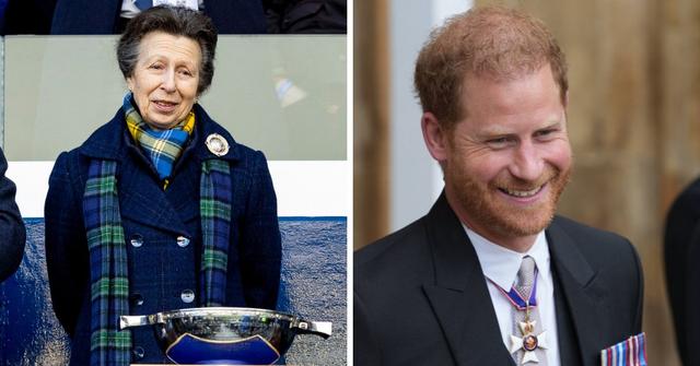 Princess Anne Sympathizes With Her Nephew Prince Harrys Spare Status