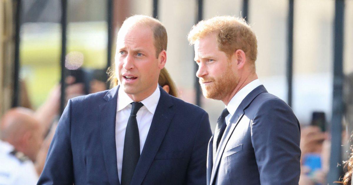 prince william not interested reuniting prince harry uk king charles cancer