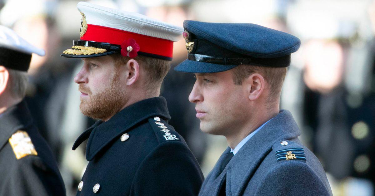 prince harry and prince william