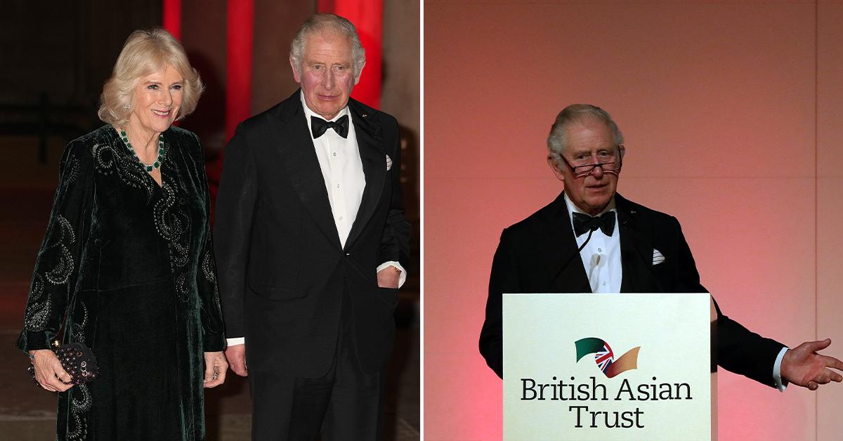 prince charles and the duchess of cornwall attend a british asian trust reception pp