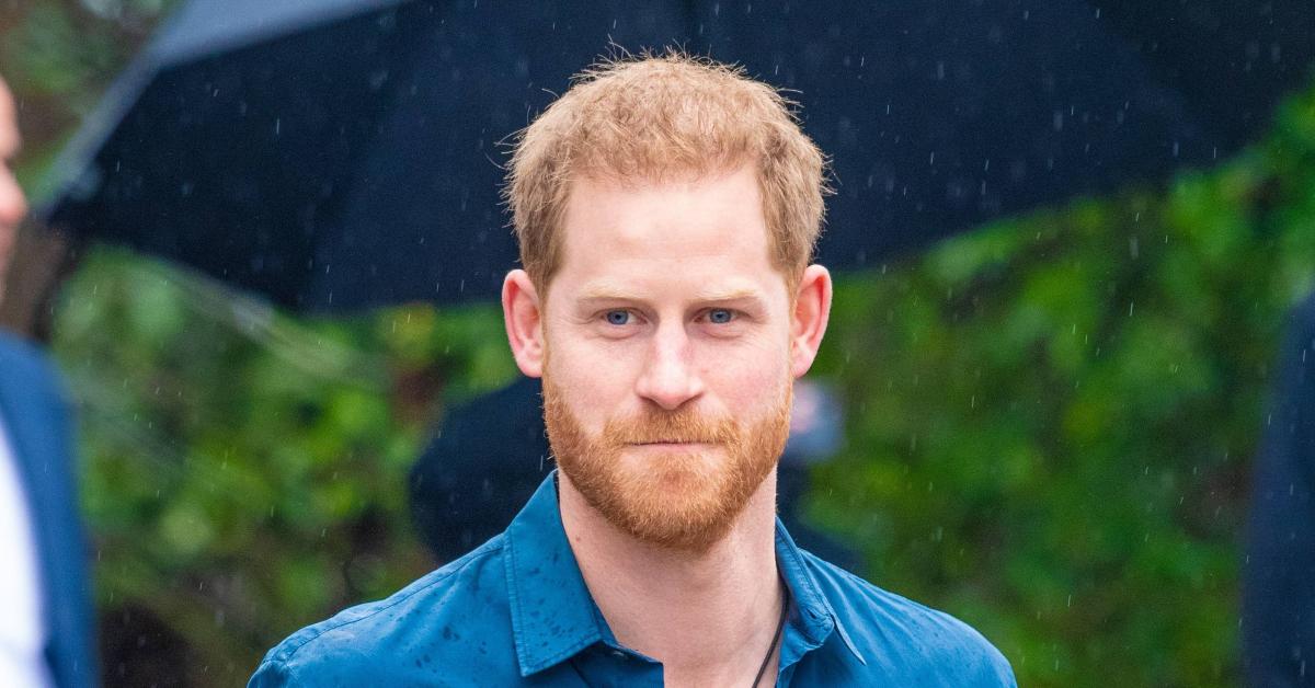 prince harry slammed animals