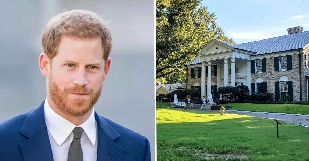 prince harry graceland pp