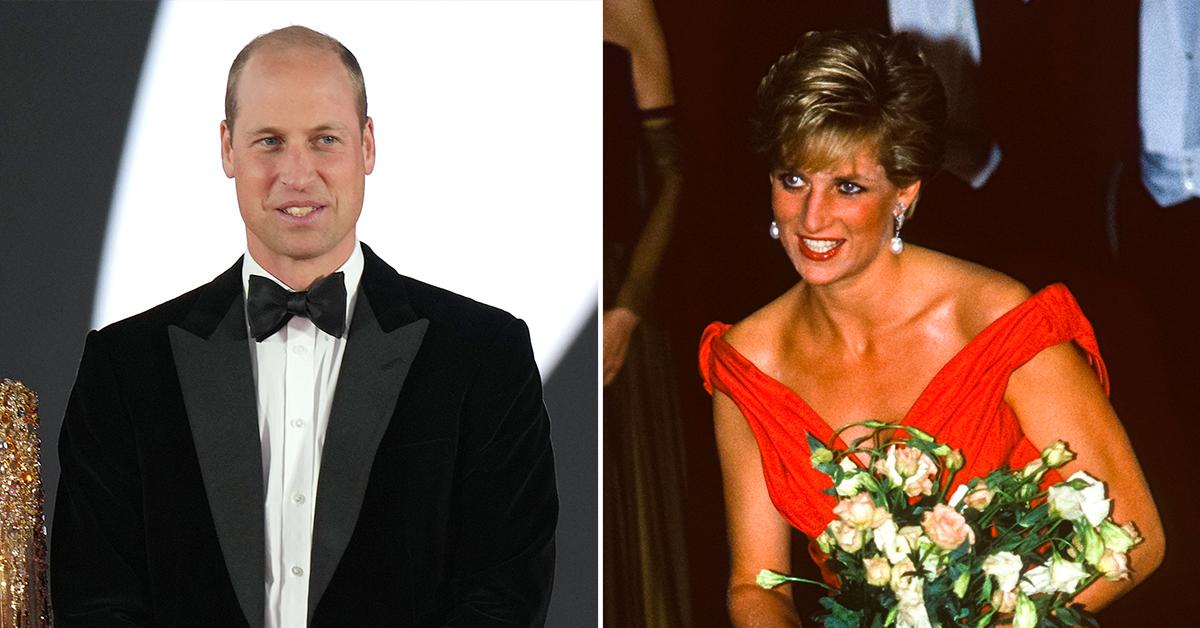 prince william honors late mother princess diana by hosting private reception kensington palace pp