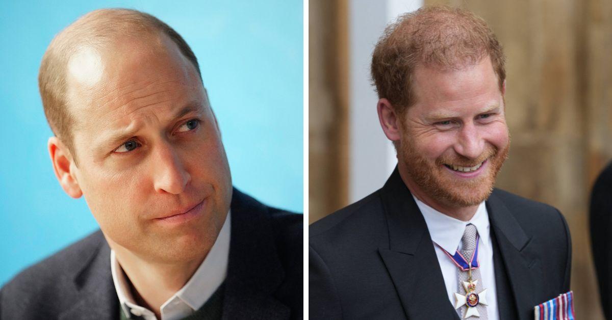 prince william and prince harry