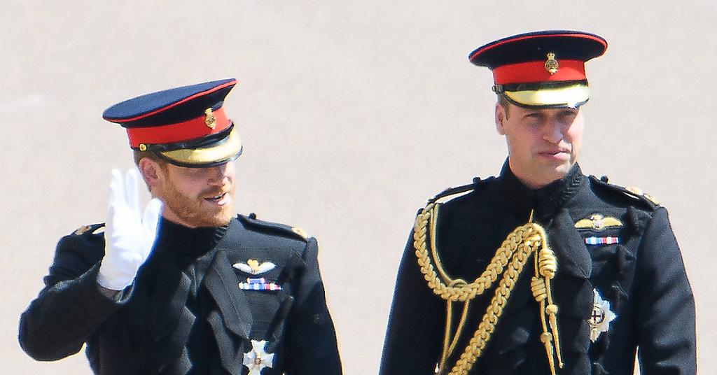 Expert Is 'Saddened About The Depth' Of Prince William And Harry's Rift