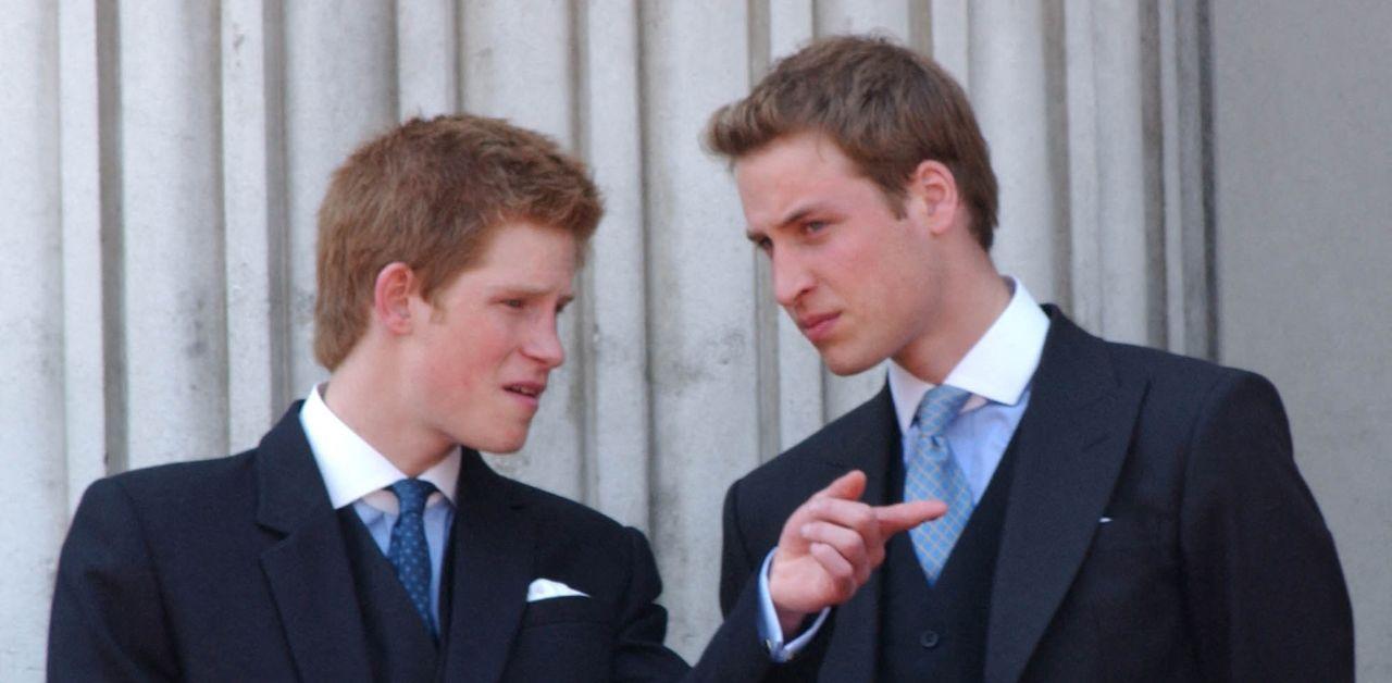 prince harry blames press for prince william rift