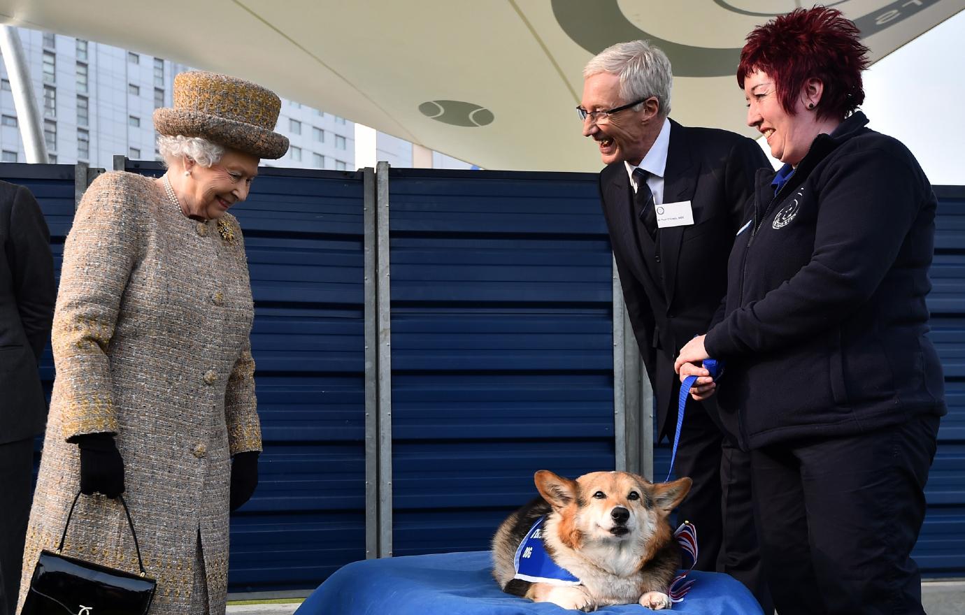 queen elizabeth likely to get new corgi puppy after death of pooch fergus