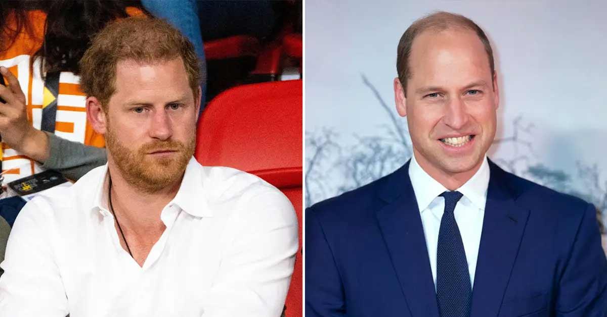 prince harry reveals he excluded stories about prince william from book pp