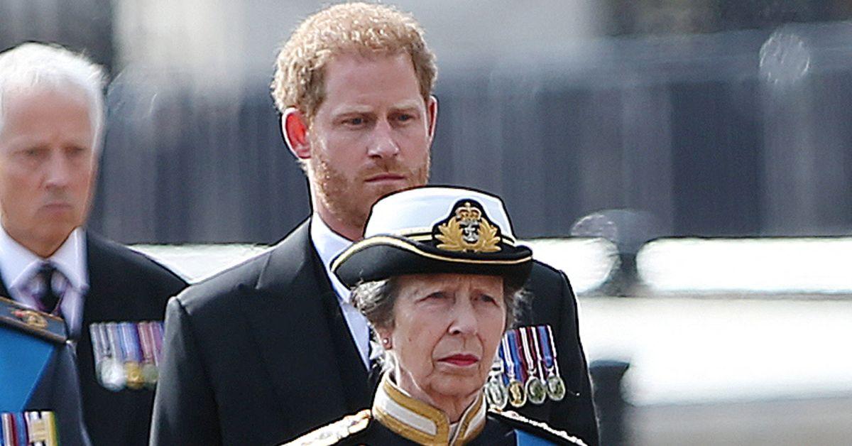 princess anne and prince harry