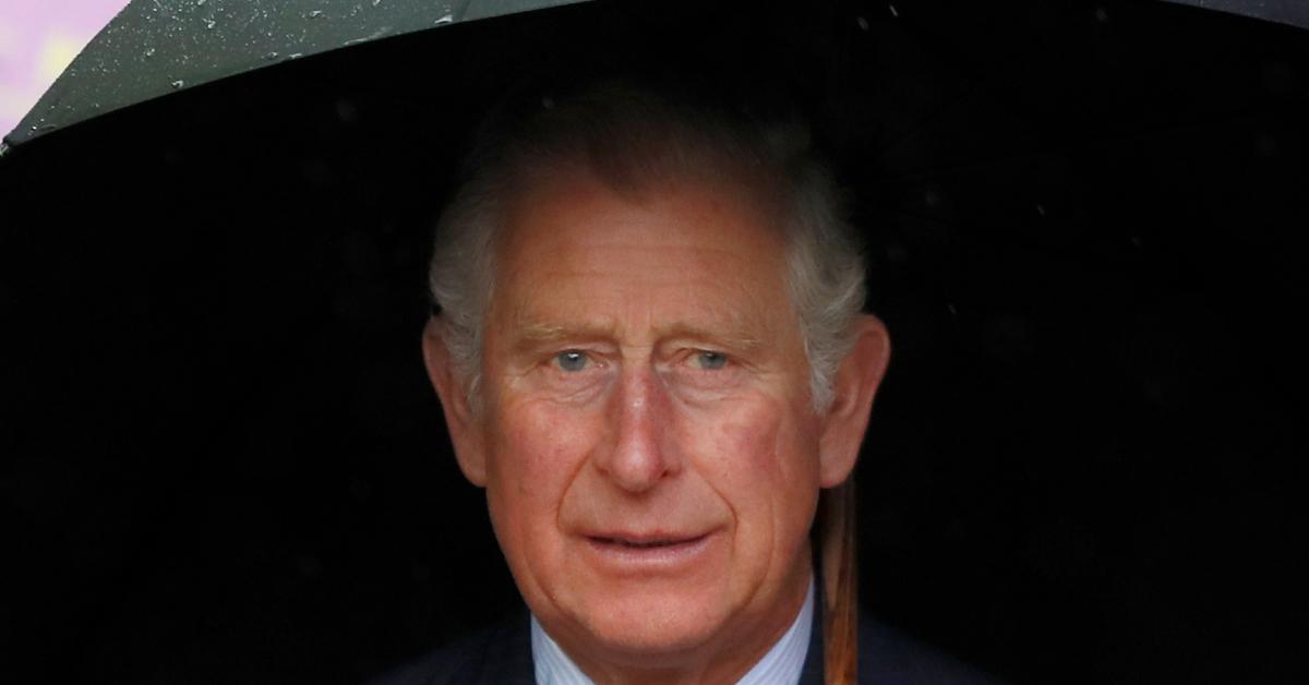 prince charles environmentalist