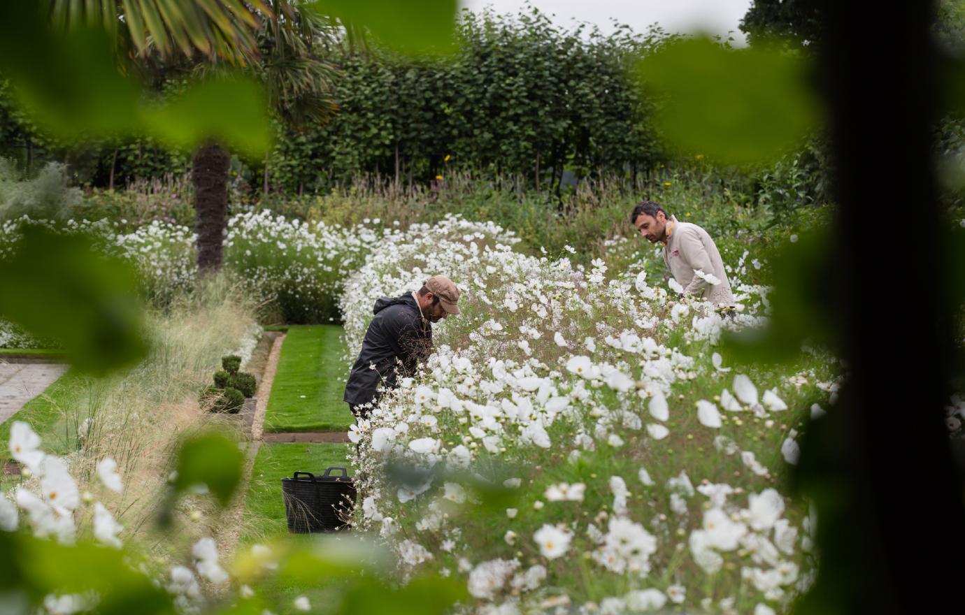 kensington palaces garden spruced up with dianas favorite flowers statue debut