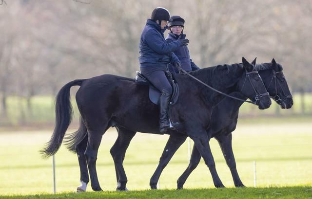 Prince Andrew Spotted Riding Horses At Windsor Great Park: Photos