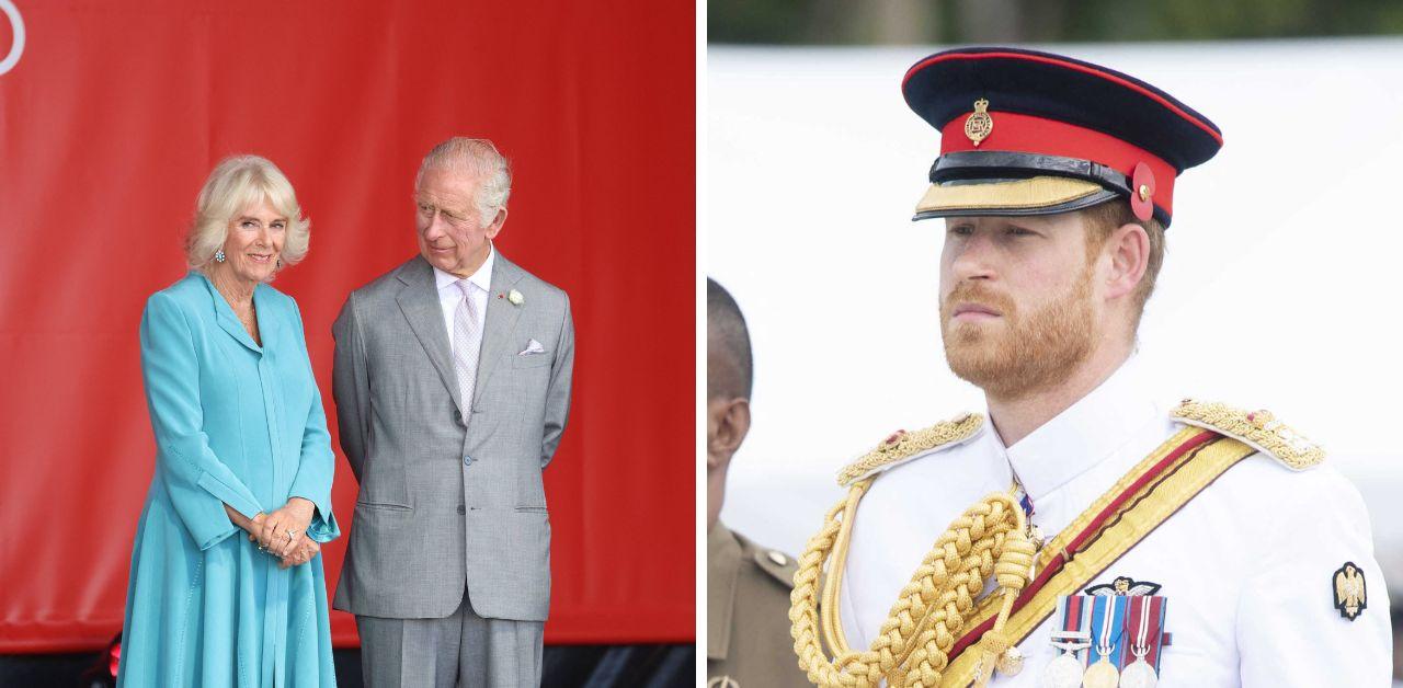 queen camilla only person fix king charles prince harry feud