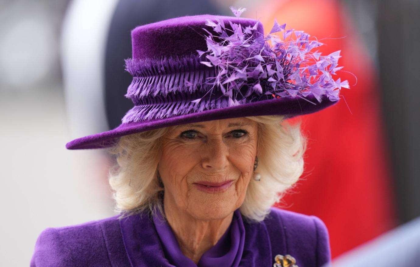 duchess camilla cancels appearance lingering covid