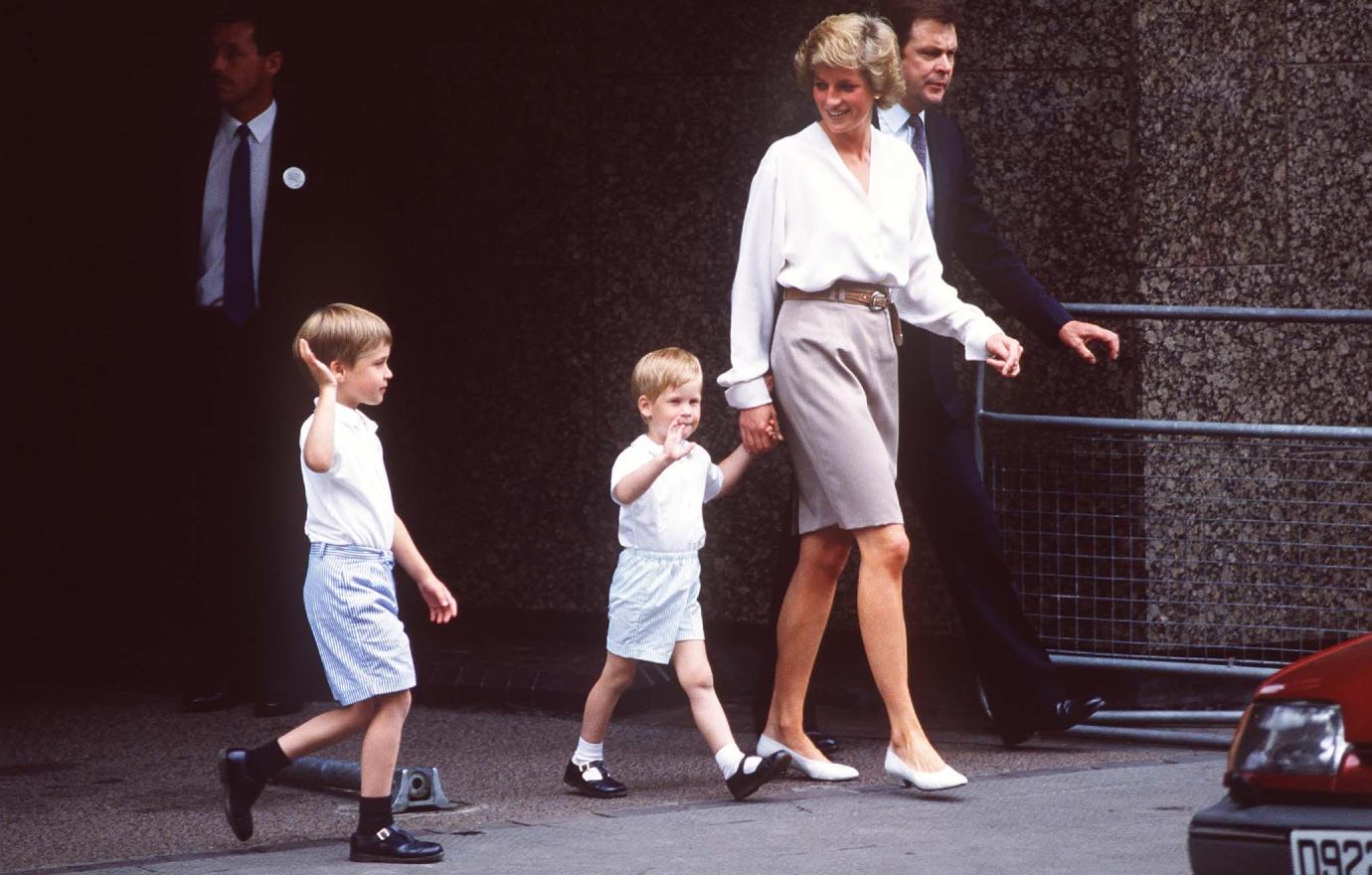 princess diana would be disappointed by prince william prince harrys rift claims biographer