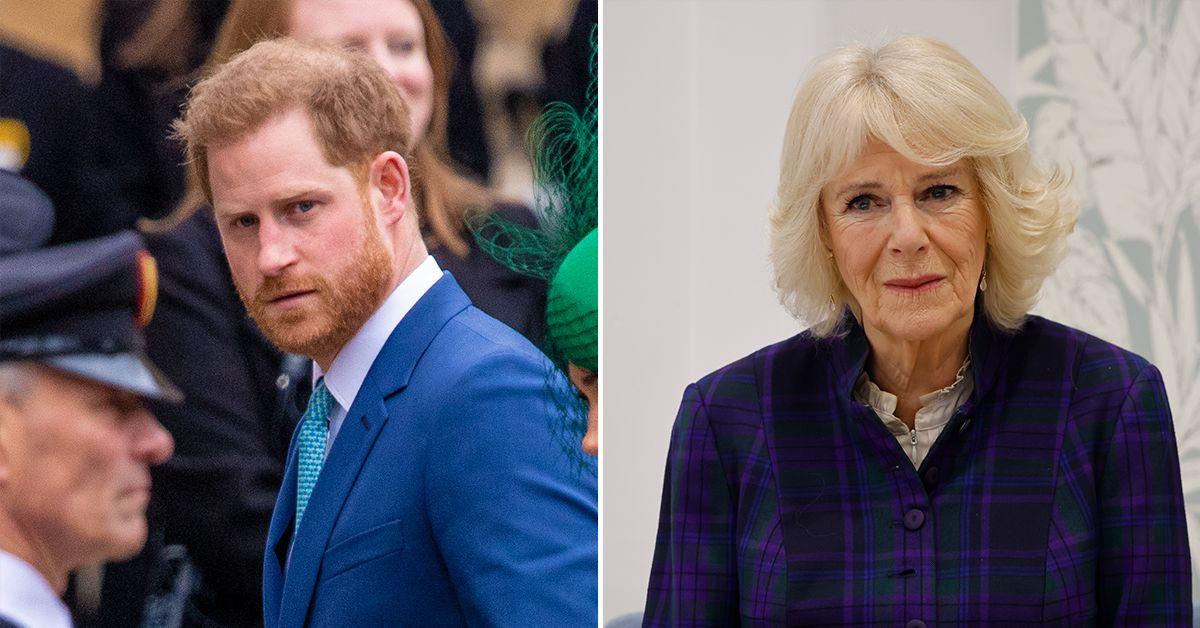 prince harry camilla pp