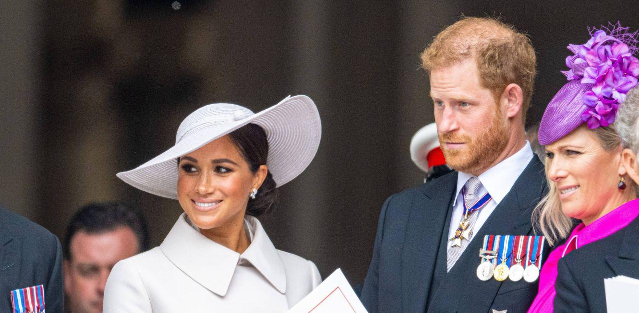 meghan markle prince harry thought royal family against them