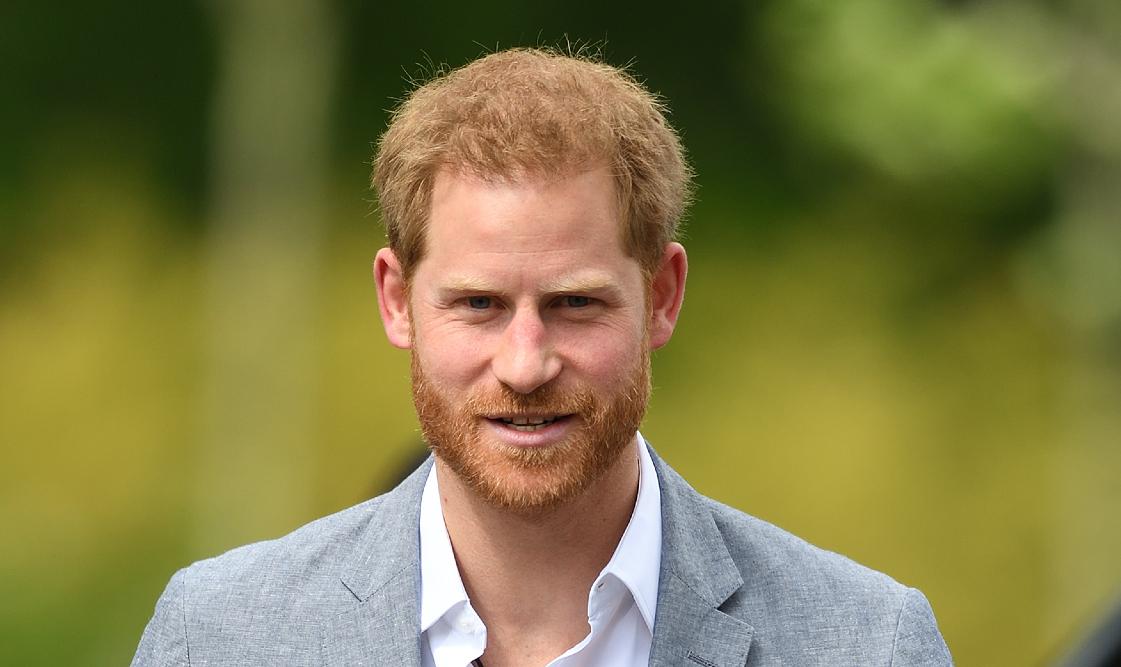 prince harry break cycle